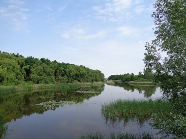 2015